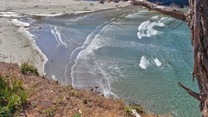 Ein Strand mit klarem Wasser, einem sandigen Ufer und einem umgestürzten Baumstamm.