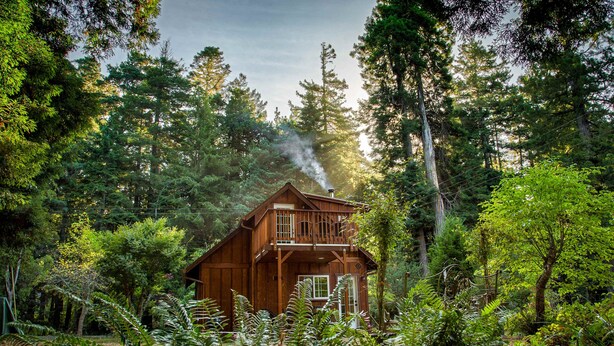 Una cabaña de madera rodeada de un bosque denso, con una chimenea visible que emite humo.