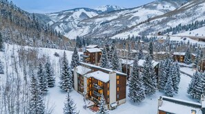 Exterior - Vail Getaway  Steam Shower & Fireplace (Vail)