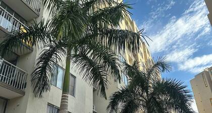 Modern apartment with all amenities