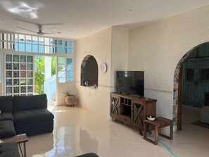 TV