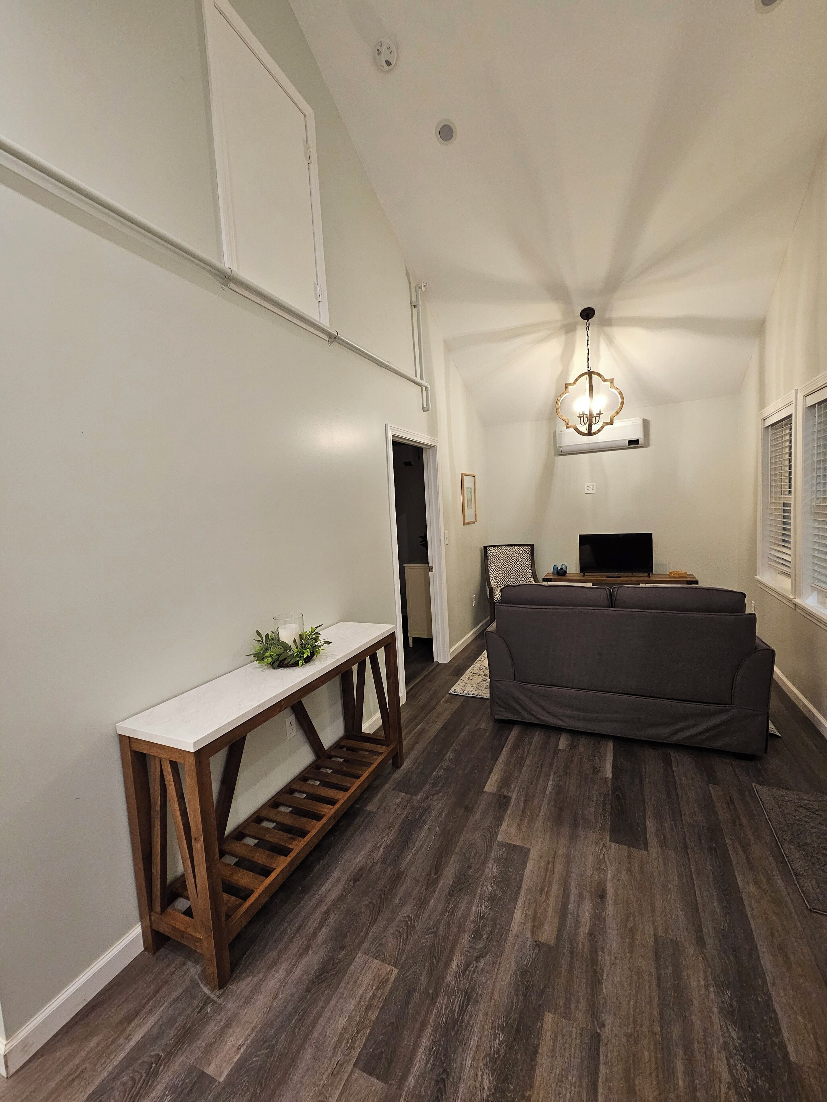 Een moderne woonkamer met een donker houten vloer, een grijze bank, een witte console met planten en een plafondlamp.