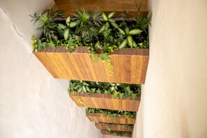 Interior - Paravian 704 Playa del Carmen (Playa del Carmen)