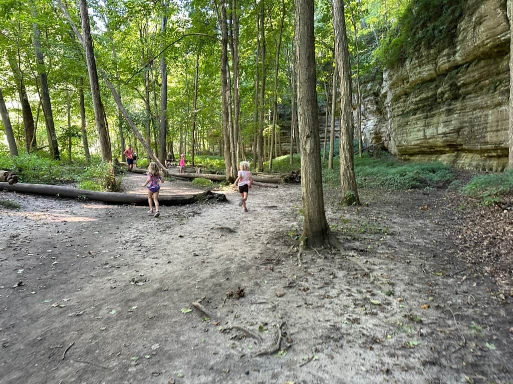 A forested area with a dirt path, trees, and a rock face.