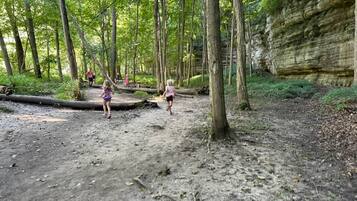 A forested area with a dirt path, trees, and a rock face.