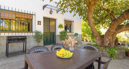 El Moral Prado del Rey by Ruralidays