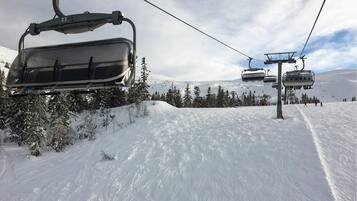 Snø- og skisport