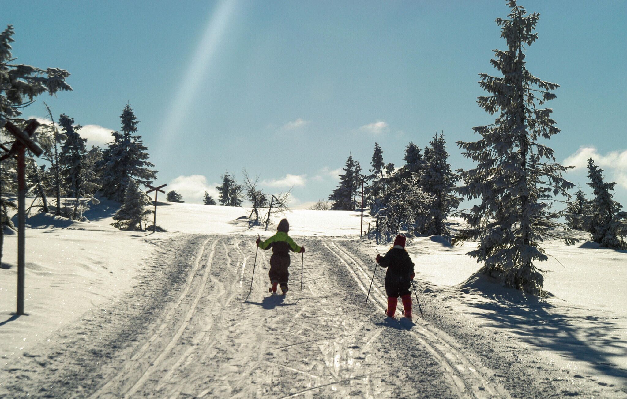 A snowy landscape with a clear sky, a cross-country ski trail, and snow-covered trees.