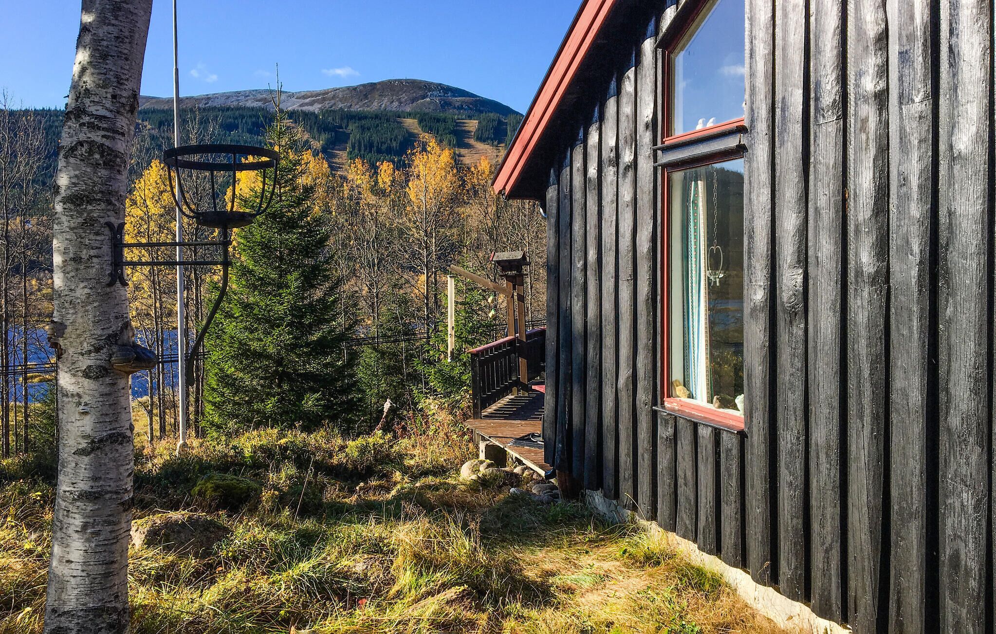 En stuga byggd av trä med utsikt över en skog och berg i bakgrunden.