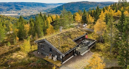 3 bedroom cozy home in Passebekk