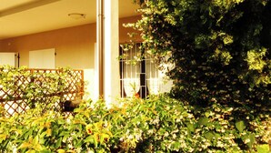 A garden area with dense foliage and a wooden fence.