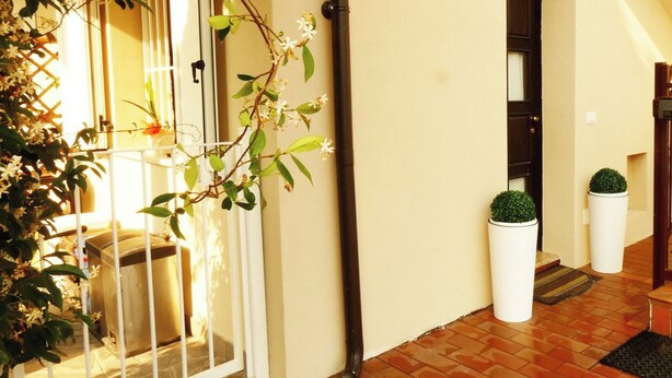 A hallway with a tiled floor, a door with a metal gate, and potted plants.