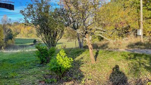 Ländliche Landschaft mit einem kleinen Baum, einer Wiese und einem Strommast.