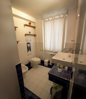 Regadera, secadora de cabello, bidet, toallas 