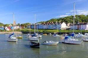Marina - Pet friendly coastal gem with direct beach access (Aberarth)