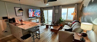 #338 Mountain Lodge-Slope views & ski in/ski out 1 bed condo. Just renovated!