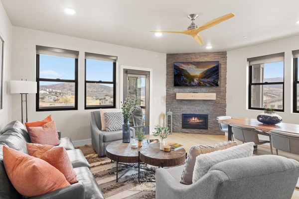 Smart TV, fireplace, books