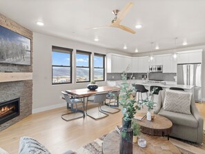 Smart TV, fireplace, books