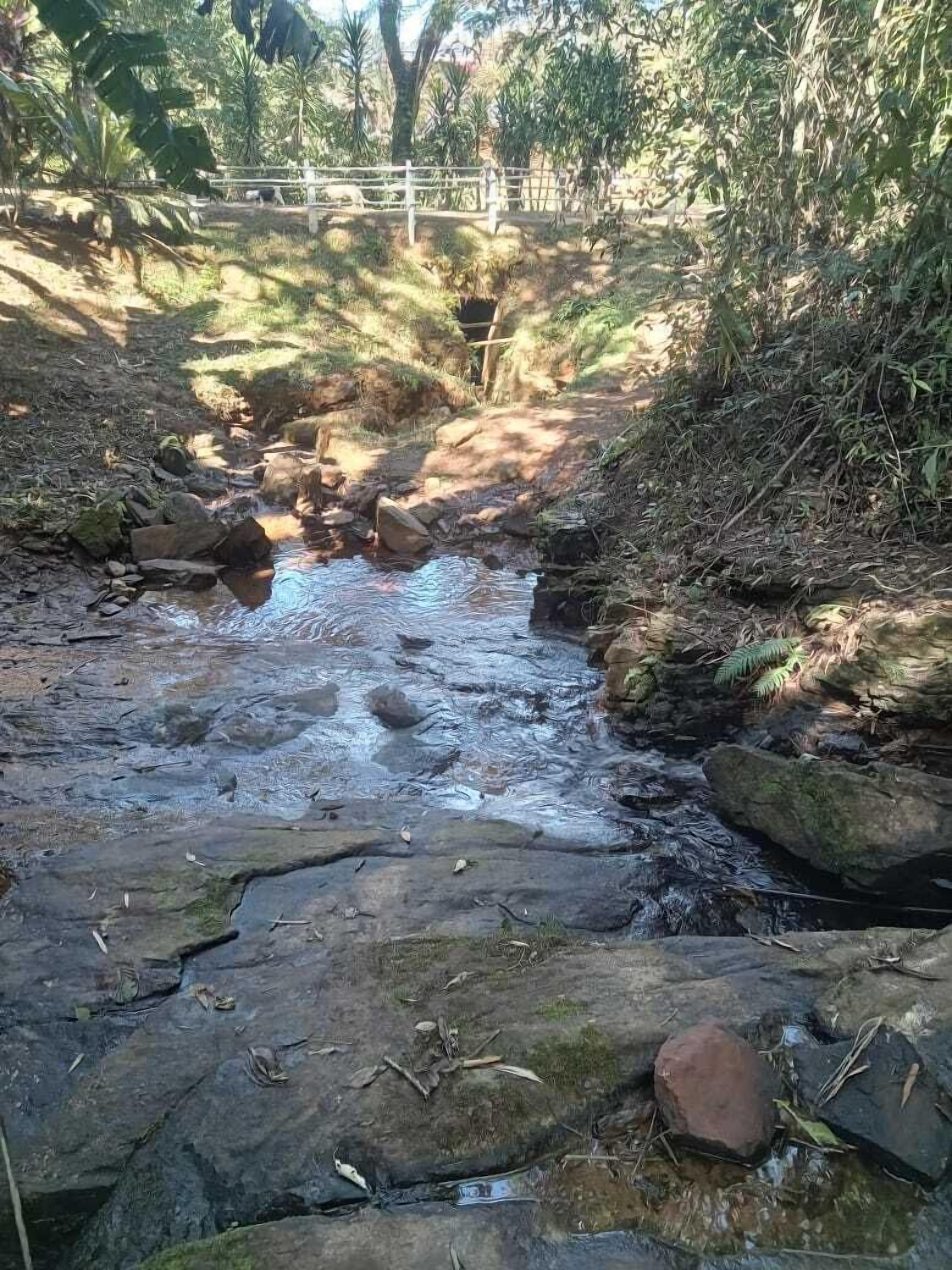 Un arroyo natural con rocas y follaje.