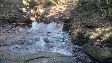 Un arroyo natural con rocas y follaje.