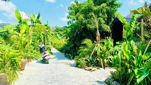 A paved pathway lined with lush greenery and a parked scooter. - Rocky Mountain Ecolodge (Ninh Binh)