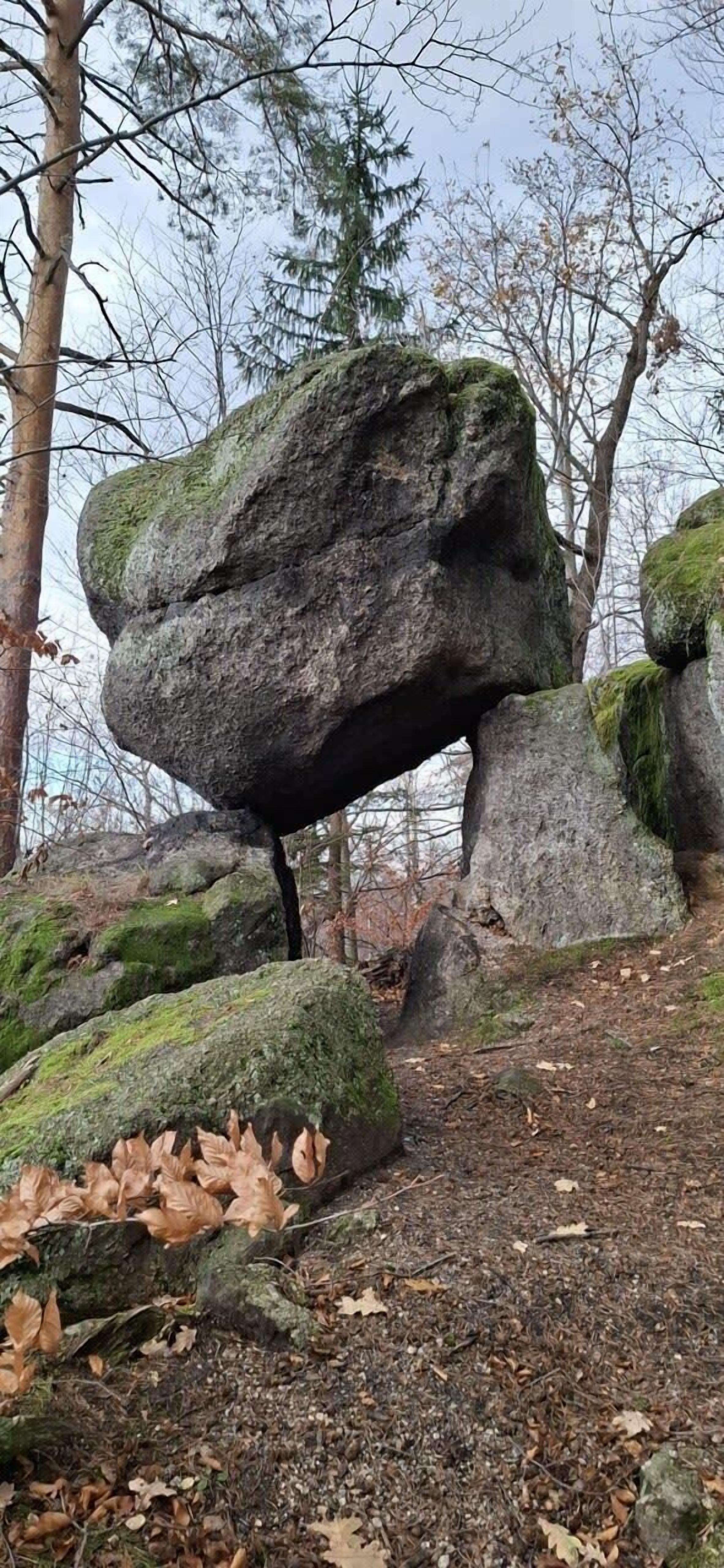 Une grande formation rocheuse dans une zone boisée, avec des rochers couverts de mousse et des feuilles mortes jonchant le sol.