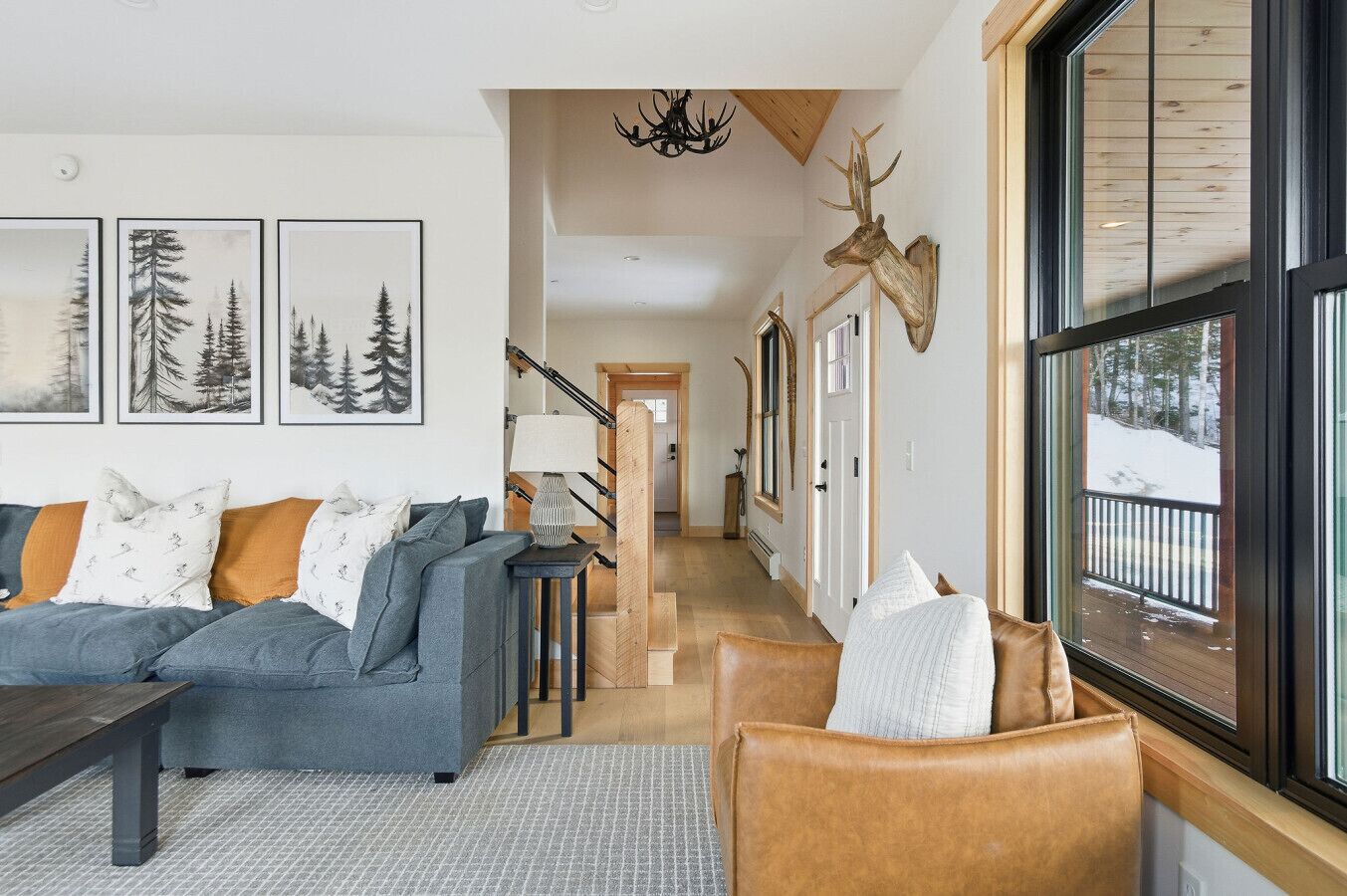 TV, fireplace, video games, books