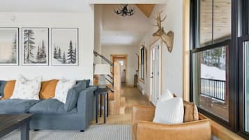 TV, fireplace, video games, books