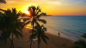 A beach with palm trees and a sunset. - Stunning  Beach Front Condo, King Bed, Stunning Beach and Ocean Views (Cabarete)