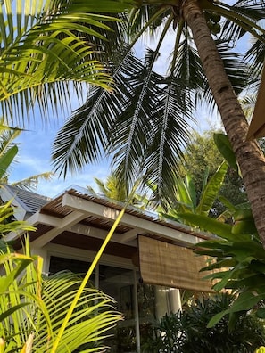 Garden - Udãra Hideaway Villa (Penida Island)