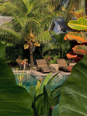 حمّام سباحة خارجي