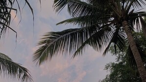 A tropical resort with palm trees, a bamboo wall, and a building with a sloped roof. - Udãra Hideaway Villa (Penida Island)