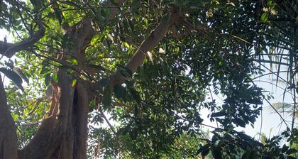 Udãra Hideaway Villa