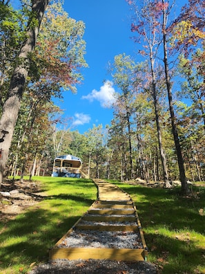 Un sentier menant à un chalet situé dans une zone boisée, sous un ciel dégagé.