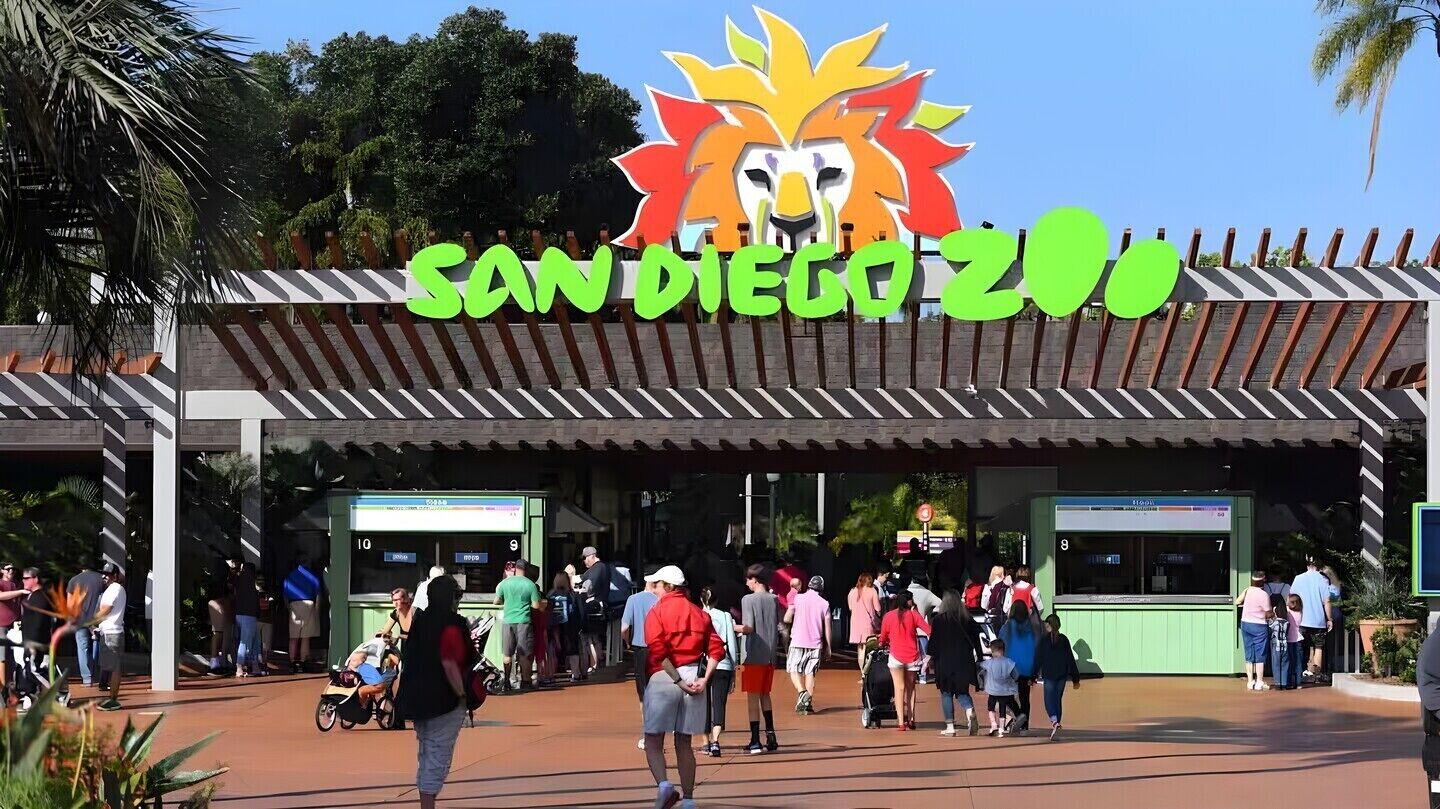A busy entrance with a large, colorful lion head logo and the text "SAN DIEGO 201".
