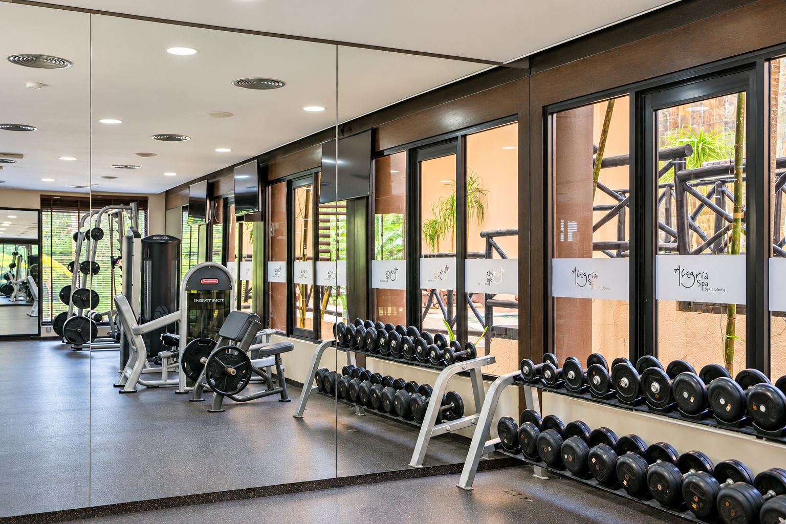 Un gimnasio con equipo de levantamiento de pesas y mancuernas.