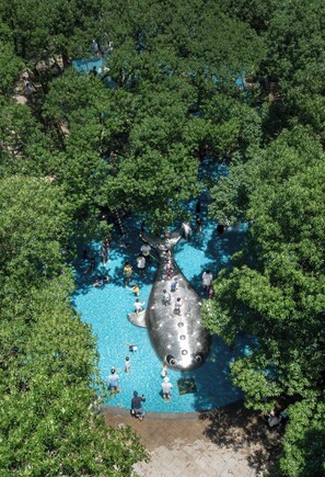 Vista aérea de una piscina rodeada de abundante vegetación, con gente disfrutando en el agua.