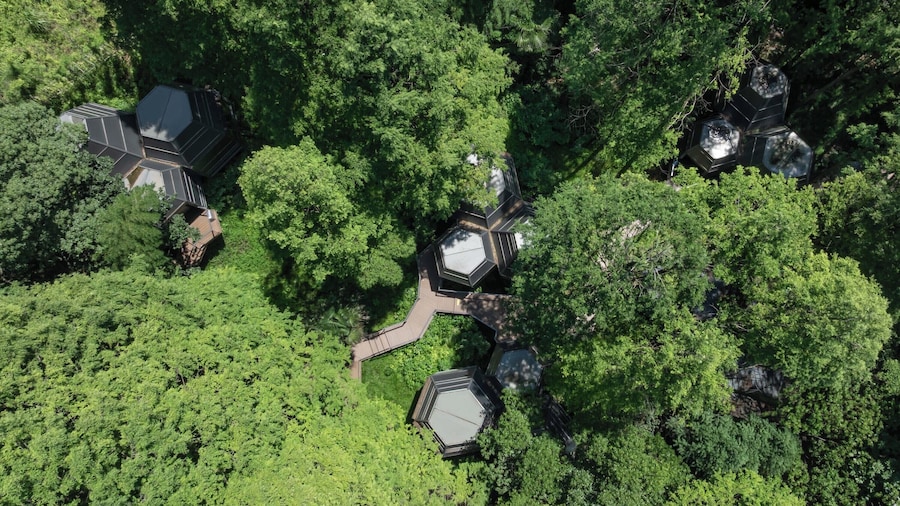 LOSTLODGE Dongming Mountain