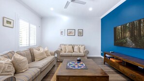 TV, fireplace, books