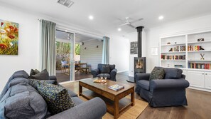 TV, fireplace, books