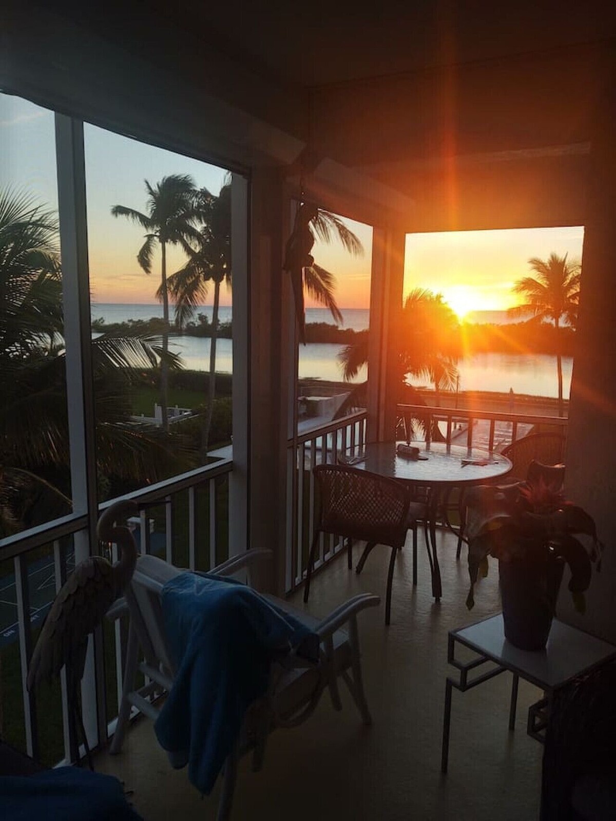 Imagen de perfil del propietario o de la propietaria