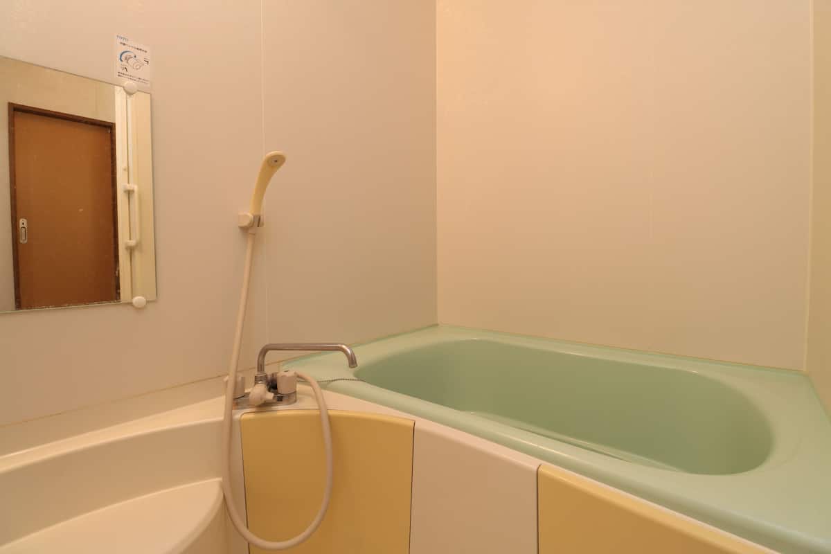 Combined shower/tub, free toiletries, hair dryer, towels