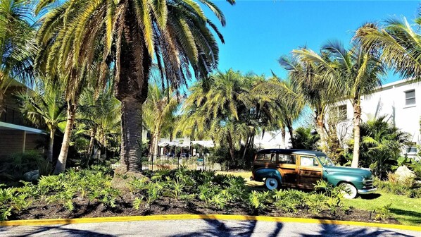 Vista desde la propiedad