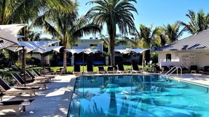 Un espace piscine doté de chaises longues et de parasols, entouré de palmiers et d’un bâtiment sur lequel est affiché un panneau indiquant les règles à respecter au bord de la piscine.