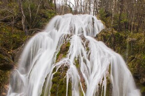 A waterfall cascading over moss-covered rocks in a forested area. - Lukec Homestead Adventure Studio Meta, Kostel, Slovenia (Kostel)