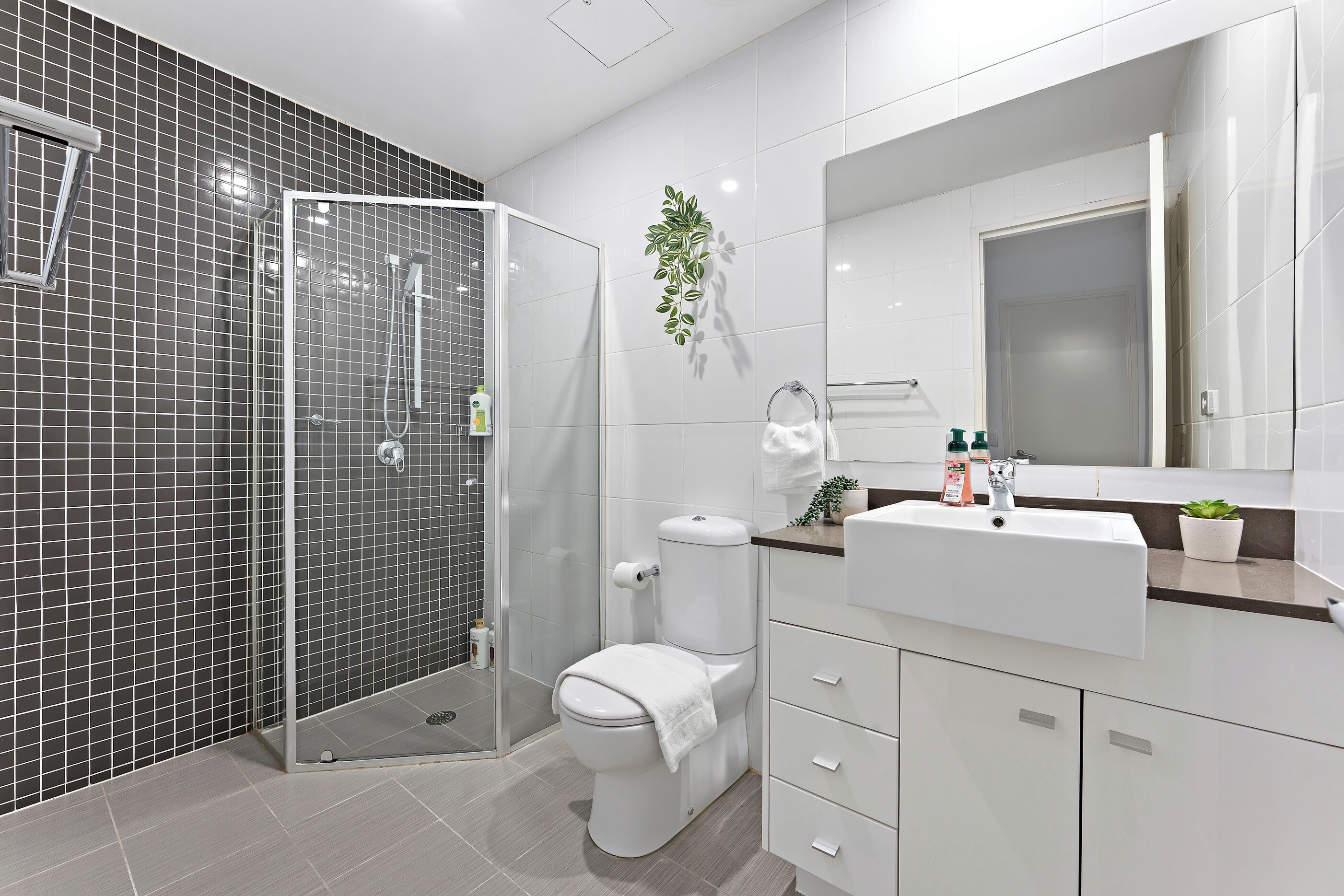 Regadera, toallas, jabón, shampoo 