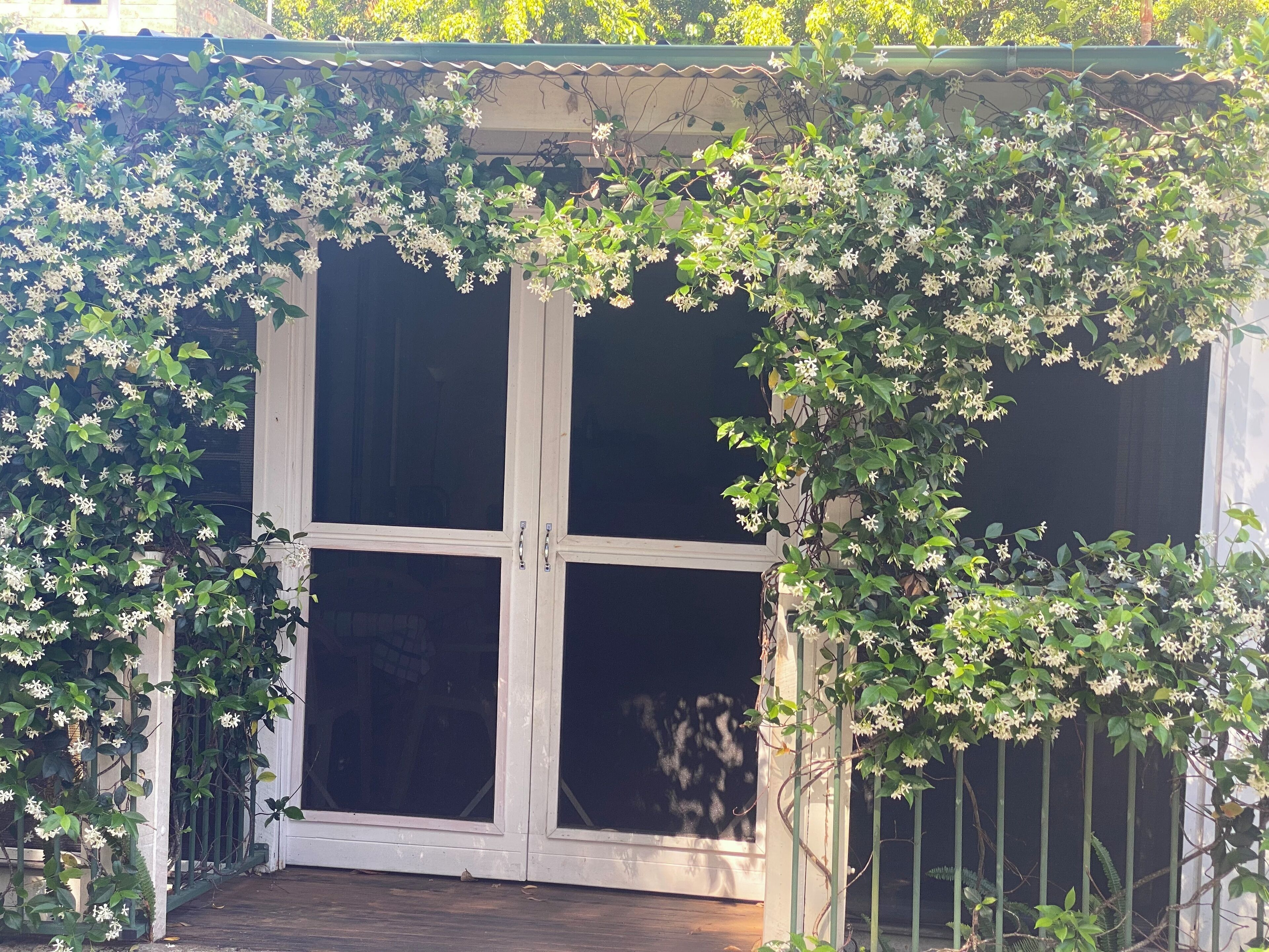 Detall de l'exterior