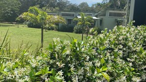 A residential area with a lawn, trees, and a building with multiple windows. - Private Estate with Main Heritage House + Cottages — Exclusive Use (Coochiemudlo Island)