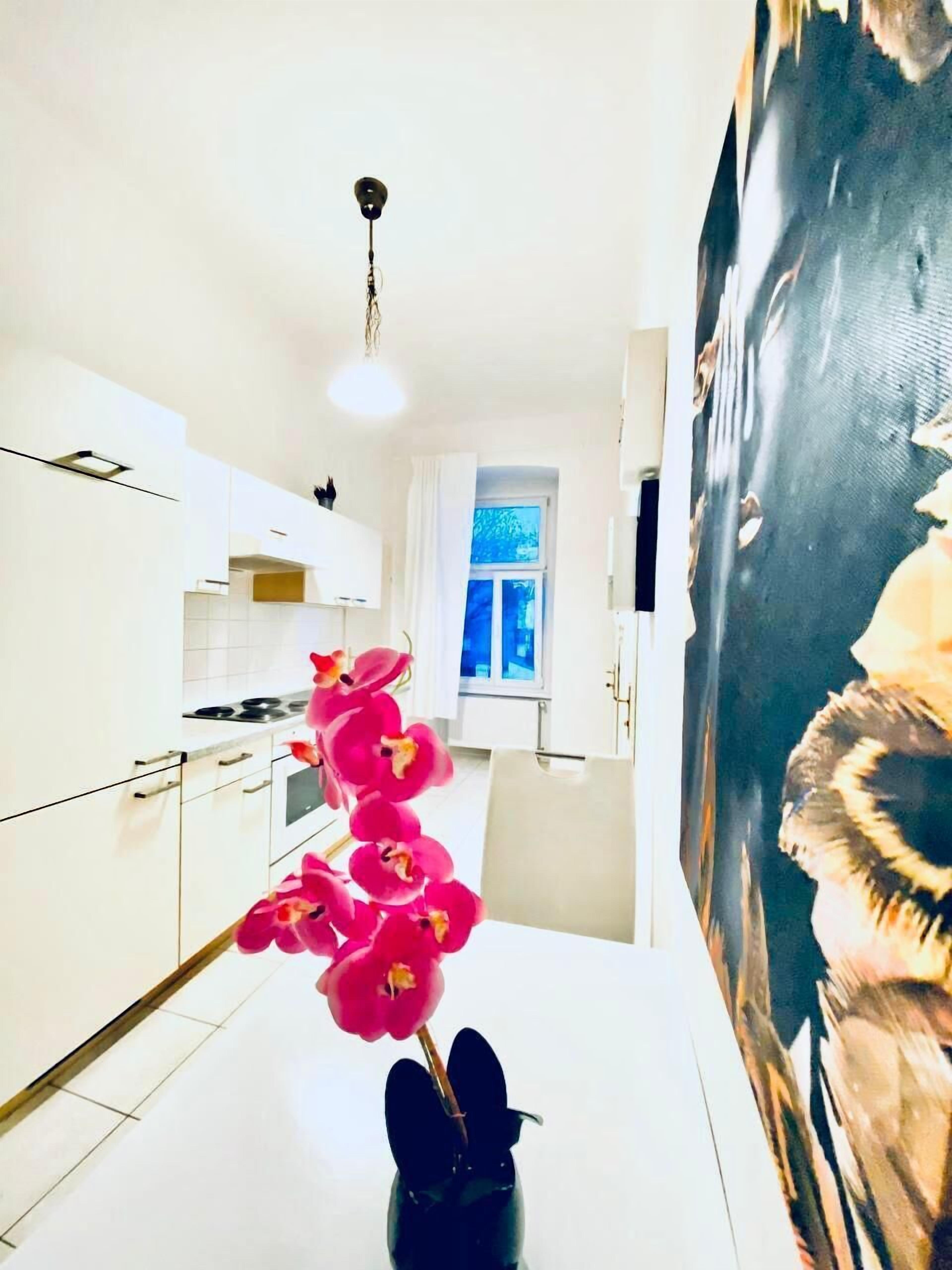 Basic Apartment | Private kitchen | Fridge, microwave, oven, stovetop