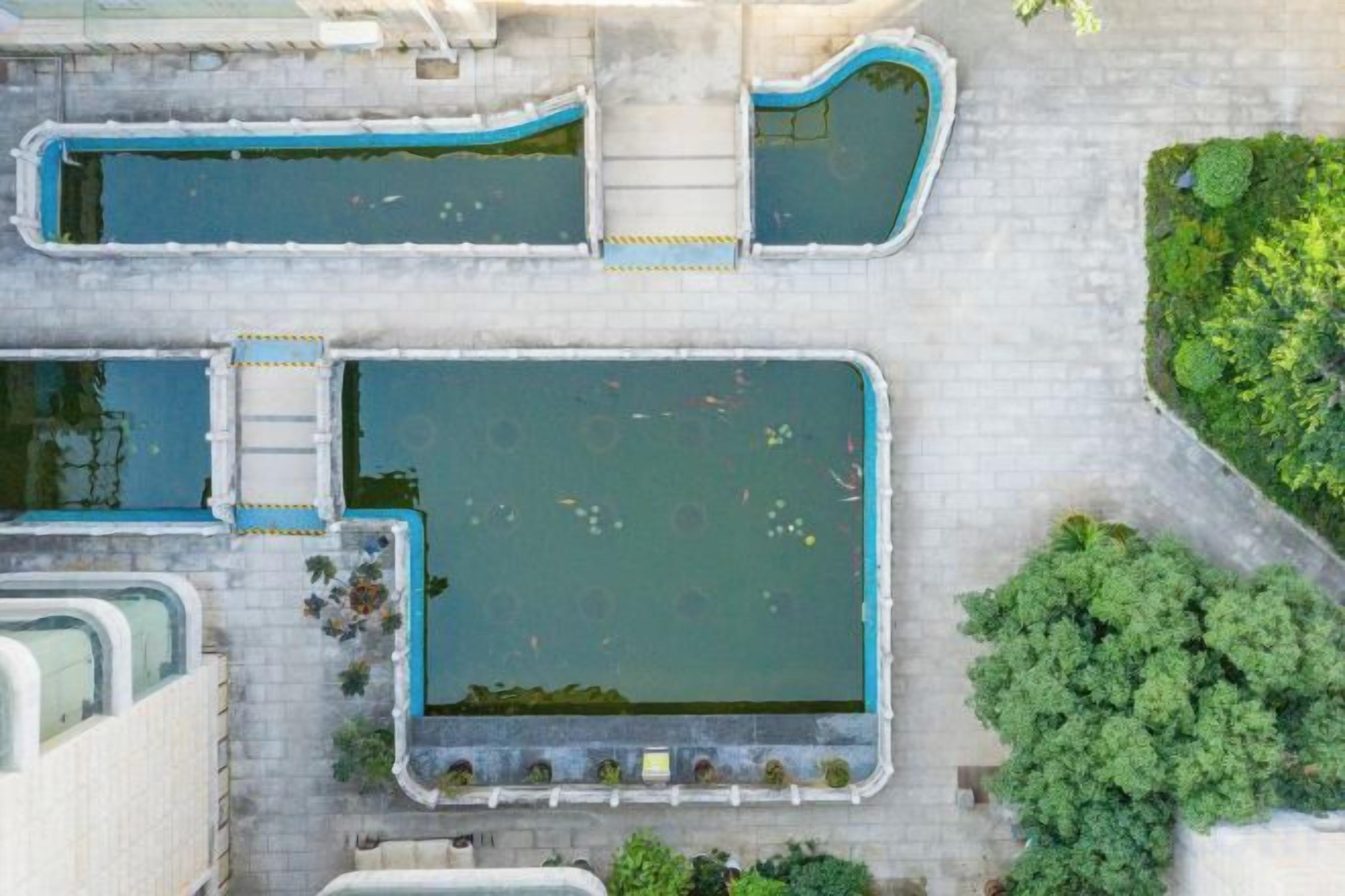 Luchtbeeld van een binnenplaats met rechthoekige waterpartijen en omliggend groen.